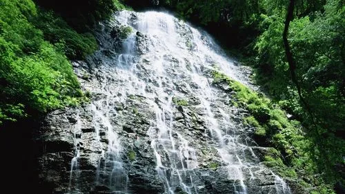 高标准高性能精密